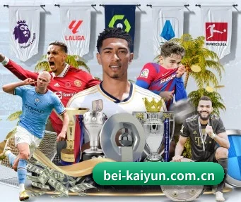 kaiyun.com 应用程序