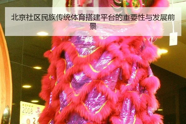 bei-jing-she-qu-min-zu-chuan-tong-ti-yu-da-jian-ping-tai-de-zhong-yao-xing-yu-fa-zhan-qian-jing-2-228.jpg